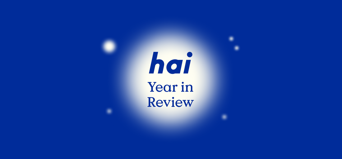 hai year in review 2022