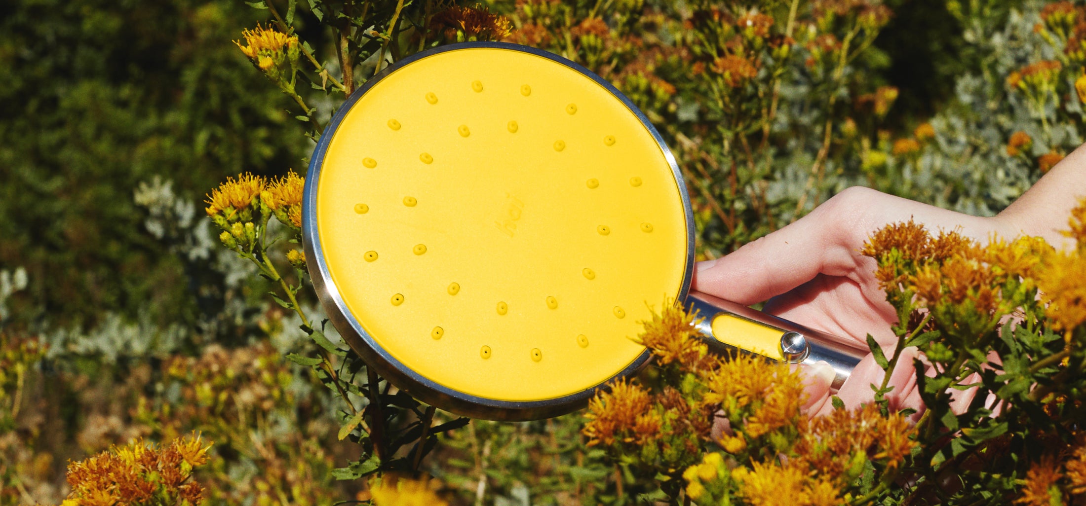 How to Clean a Shower Head StepbyStep Guide hai